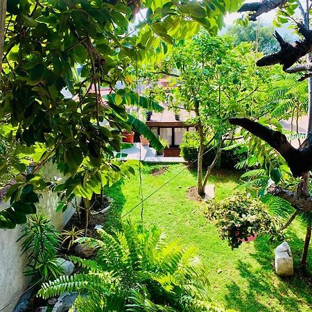 فيلا Casa Rustica أتليكسكو المظهر الخارجي الصورة