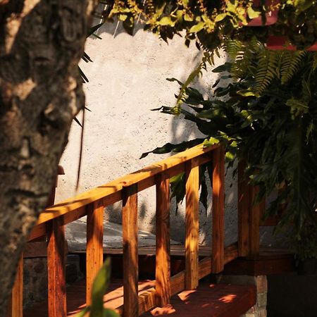 فيلا Casa Rustica أتليكسكو المظهر الخارجي الصورة