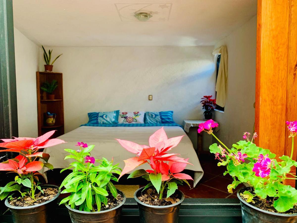 فيلا Casa Rustica أتليكسكو المظهر الخارجي الصورة